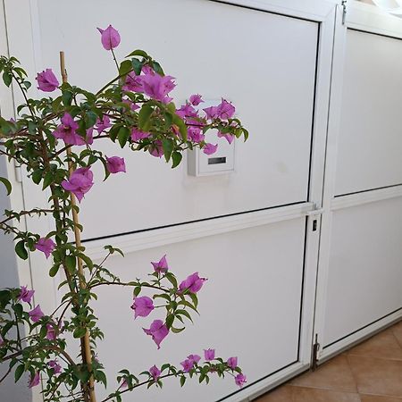 Apartman Dani ซาดาร์ ภายนอก รูปภาพ