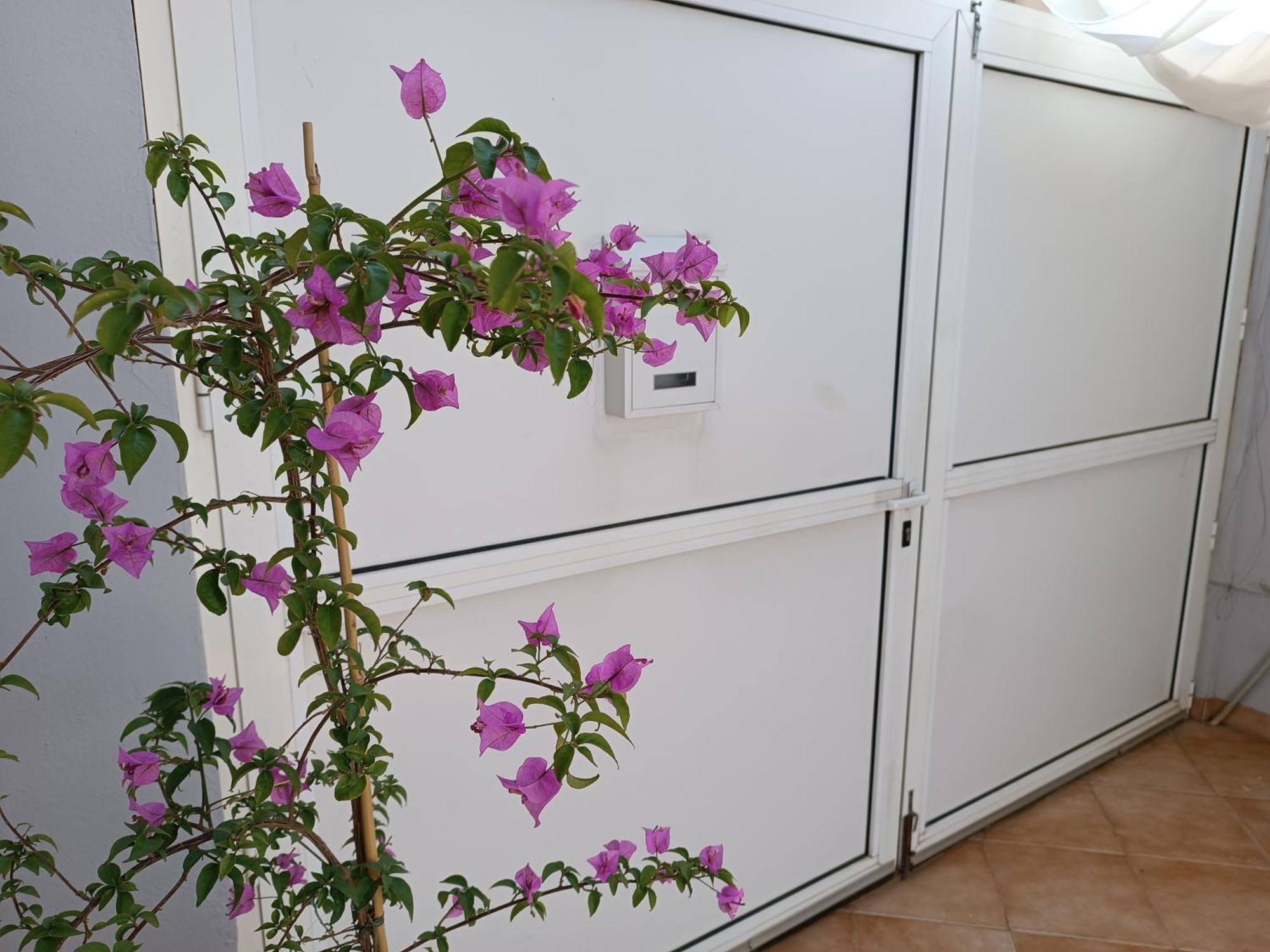Apartman Dani ซาดาร์ ภายนอก รูปภาพ